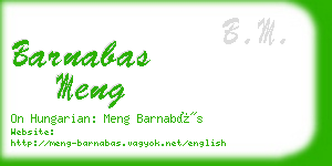 barnabas meng business card